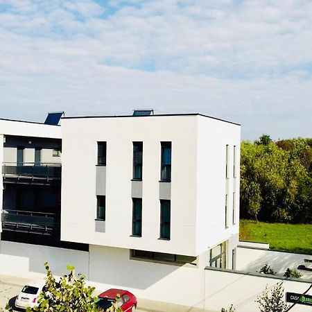 Casa Maria City Apartments ティミショアラ エクステリア 写真