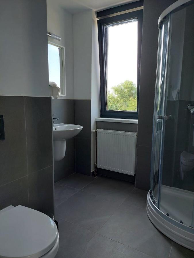 Casa Maria City Apartments ティミショアラ エクステリア 写真