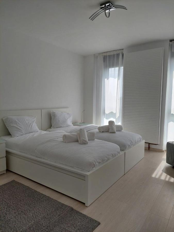 Casa Maria City Apartments ティミショアラ エクステリア 写真