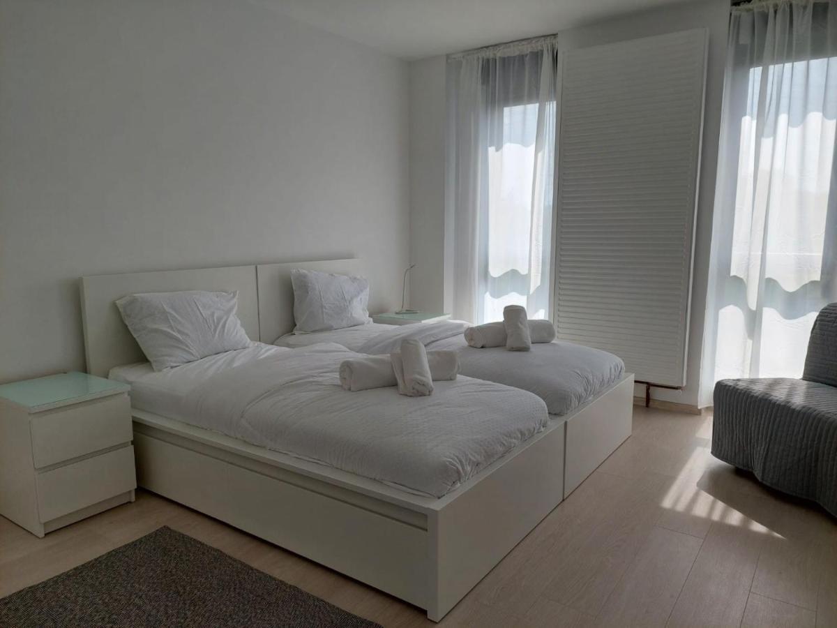 Casa Maria City Apartments ティミショアラ エクステリア 写真