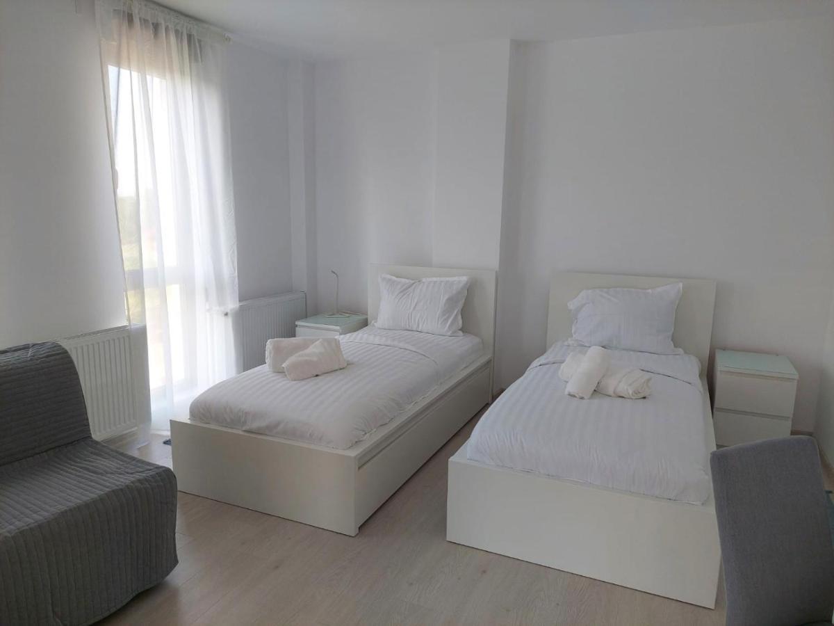 Casa Maria City Apartments ティミショアラ エクステリア 写真